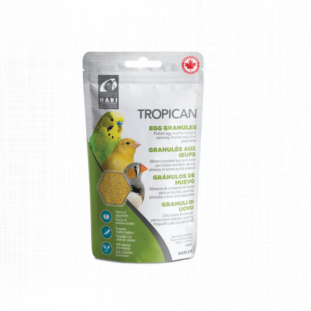 Tropican Egg Packaging design