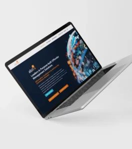 IT company website redesign